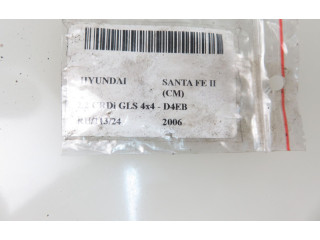 Píst    Hyundai Santa Fe    D4EB 