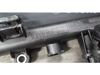 Топливная рампа 0280151250   Fiat Punto Evo  