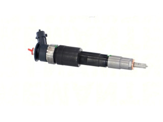 Форсунка 0445110565, 0445110565    Peugeot Expert   
