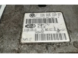 Блок управления двигателя 036906034EF, 6160069903   Volkswagen Lupo