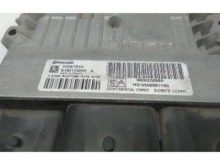 Řídící jednotka 9800268980   Peugeot 5008 2009