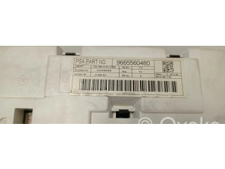 Панель приборов 9665560480   Citroen C5       