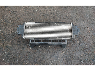 Píst 7700312903, 91166035   Nissan Primastar     