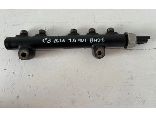 Vstřikovací lišta 968529758002, 8H01   Citroen C3     