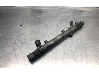 Vstřikovací lišta A6420700695, 053070465   Mercedes-Benz R W251    OM 642.950 