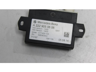 Vstřikovač A2229050606, C17433103   Mercedes-Benz S W222    642867 41 633985 