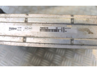 Интеркулер  9806562180, 9806562180   Citroen LN LNA 