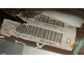 Боковая подушка безопасности 7092520, 964474728001   Citroen C6