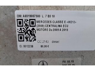 Řídící jednotka A6519007500, A6519007500   Mercedes-Benz E W212 2009