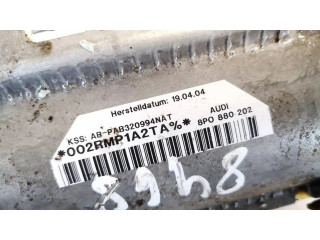 Подушка безопасности пассажира 8p0880202   Audi A3 S3 8P