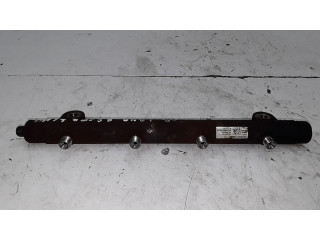 Топливная рампа 5WS40256   Land Rover Range Rover L322  