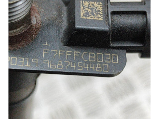Vstřikovač 9687454480   Land Rover Range Rover Evoque L538    224DT 