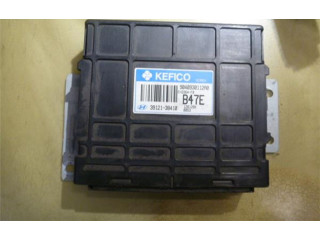 Řídící jednotka 3912138410   Hyundai Santa Fe 2002