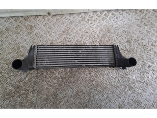 Vstřikovač 2247966, 51224796602   BMW X5 E53     