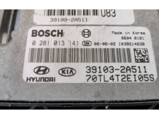 Блок управления двигателя 391092A511, 391032A511   Hyundai Getz
