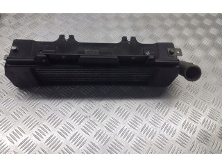 Интеркулер  279714600102   Tata Indica Vista II 