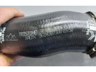 Интеркулер  9678406580, 9684307380   Mitsubishi ASX 