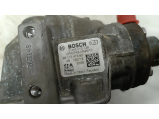Vstřikovací čerpadlo 9811347380, BOMBAINYECCION   Citroen Jumpy  pro naftový motor 2.0  