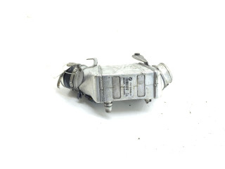 Радиатор интеркулера 7575404, 1751757540403   BMW X6 E71   