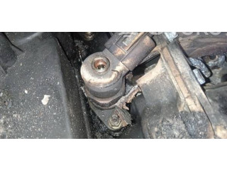 Форсунка 0445110216, 0445110216    BMW X3 E83   
