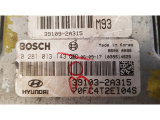 Řídící jednotka 0281013143, 391032A315   Hyundai Matrix 2006