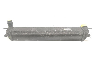 Интеркулер  144610001N   Renault Laguna III 
