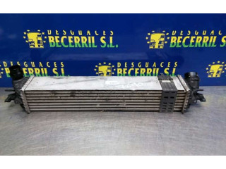 Интеркулер  144960001R, H9493007   Renault Laguna III 