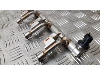 Vstřikovací lišta DM5G9H487AA, 0261555137   Ford Focus  pro benzínový motor 1.0  