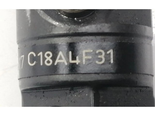 Vstřikovač 166001137R   Renault Clio III     