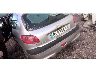 Масляный насос  DV4TD(8HX) 1001F2, 1001F2  Peugeot 206 