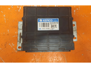 Řídící jednotka 3912138160, 3912138160   Hyundai Santa Fe 2002