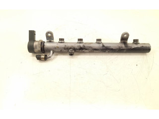 Vstřikovací lišta 6420700495, 6110780449   Mercedes-Benz GL X164    OM 642.940 
