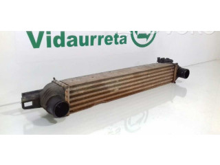 Интеркулер  51790623, L8119001   Fiat Qubo 