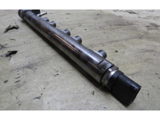 Vstřikovací lišta 851416601   Mini Cooper Countryman R60     