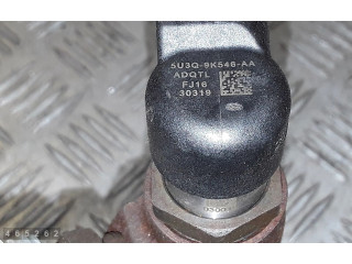 Vstřikovač 5U3Q9K546AA   Citroen C6     