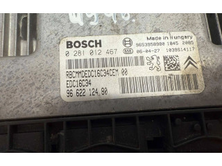 Řídící jednotka 9662212480, 9653958980   Peugeot 207 2007