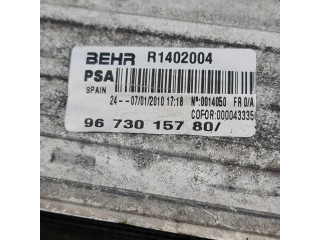 Интеркулер  9673015780, B1402004   Peugeot 5008 2.0