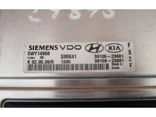 Řídící jednotka 5WY1496B3910523681   Hyundai Matrix 2000