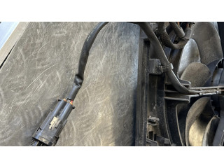Вентилятор радиатора     9806313280    Citroen C4 II Picasso 1.6