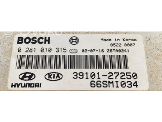 Řídící jednotka 0281010315, 3910127250   Hyundai Santa Fe 2000