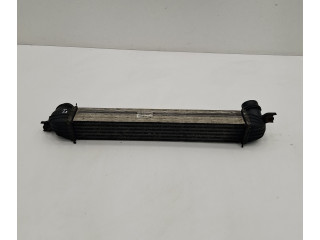 Интеркулер  8506904   Mini Paceman (R61) 