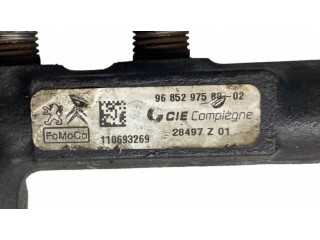 Vstřikovací lišta 9685297580, 110693269   Ford Focus  pro naftový motor 1.6  