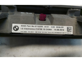 Дисплей    8715399   BMW 5 G30 G31