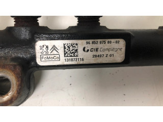 Vstřikovací lišta 9685297580   Citroen DS3  pro naftový motor 1.6  