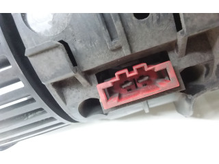 Píst T1001277N   Renault Megane III     