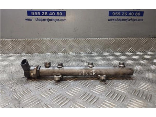 Vstřikovací lišta 059130090AJ, 059130090AJ   Audi A5 8T 8F    CAPA 