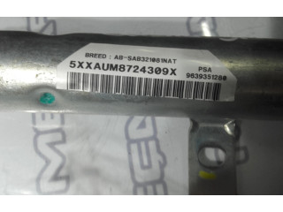 Přístrojová deska  Peugeot 307  9639351280  