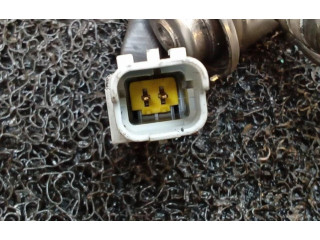 Форсунка 208995377RB    Renault Sandero I   