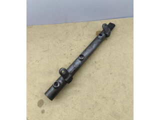 Vstřikovací lišta A6420700695, 10006130   Mercedes-Benz C W203    642910 