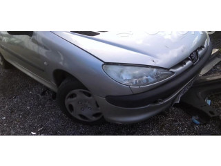 Масляный насос  DV4TD(8HX) 1001F2, 1001F2  Peugeot 206 